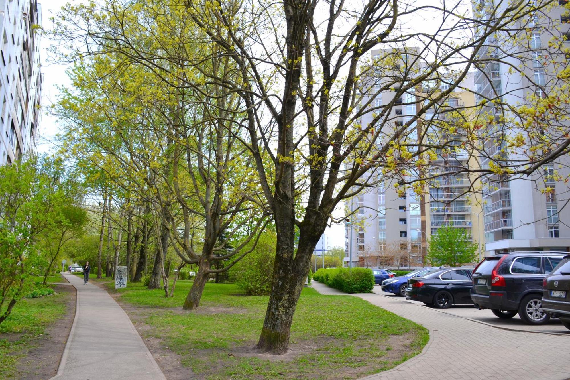 Imanta Apartment Riga 2Х Rooms 52М2 Kültér fotó